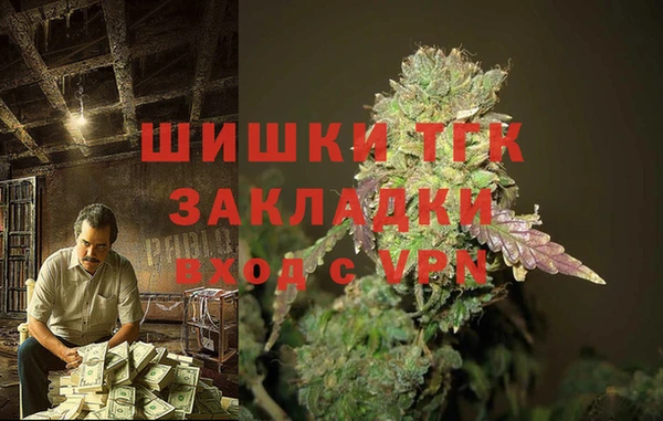 дмт Краснослободск