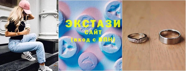 дмт Краснослободск
