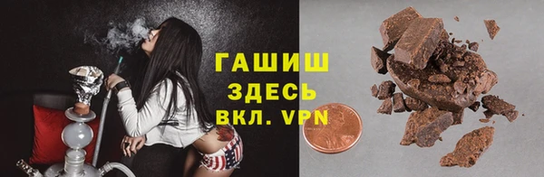 дмт Краснослободск