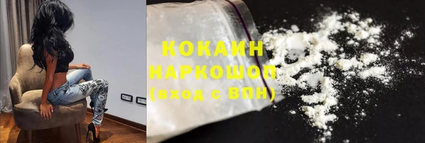 дмт Краснослободск