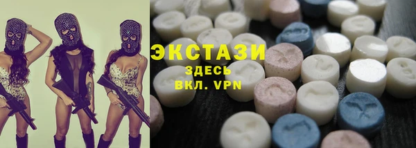 дмт Краснослободск