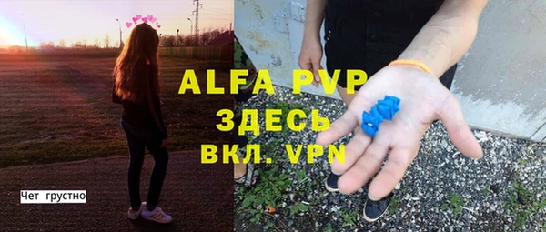 дмт Краснослободск
